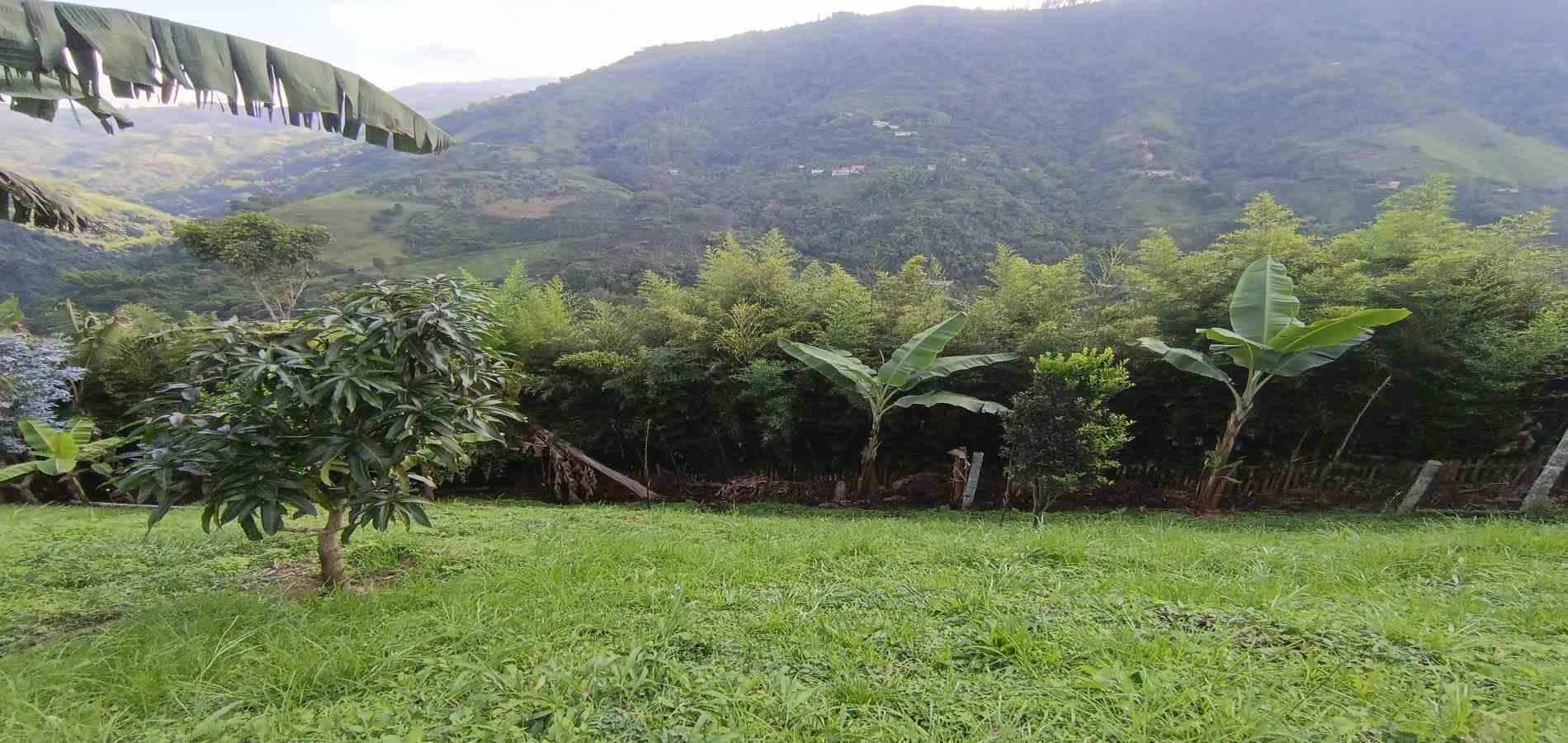 Foto de Finca en Venta en Bajo tablazo, Manizales - 25 - 279066554