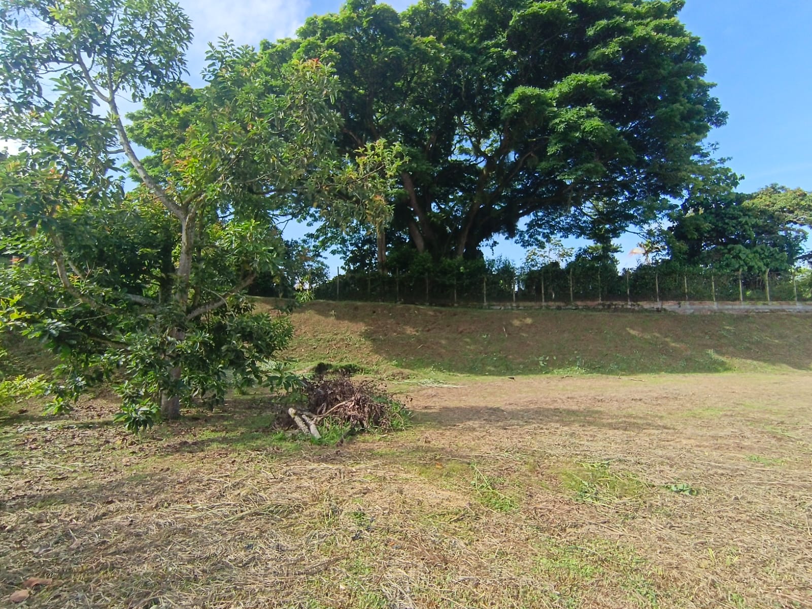 Foto de Lote / terreno en Venta en La cabaña, Manizales - 3 - 279067714