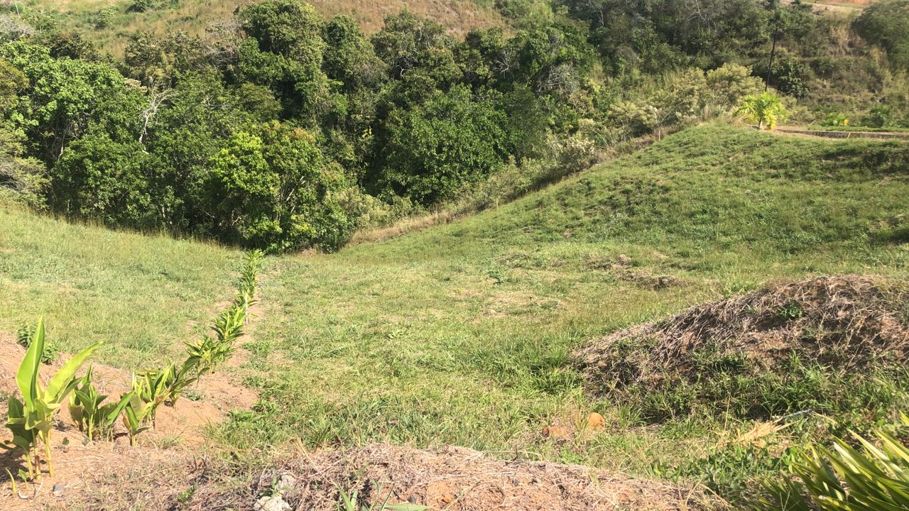 Foto de Lote / terreno en Venta en Cerritos, Pereira - 13 - 279055628