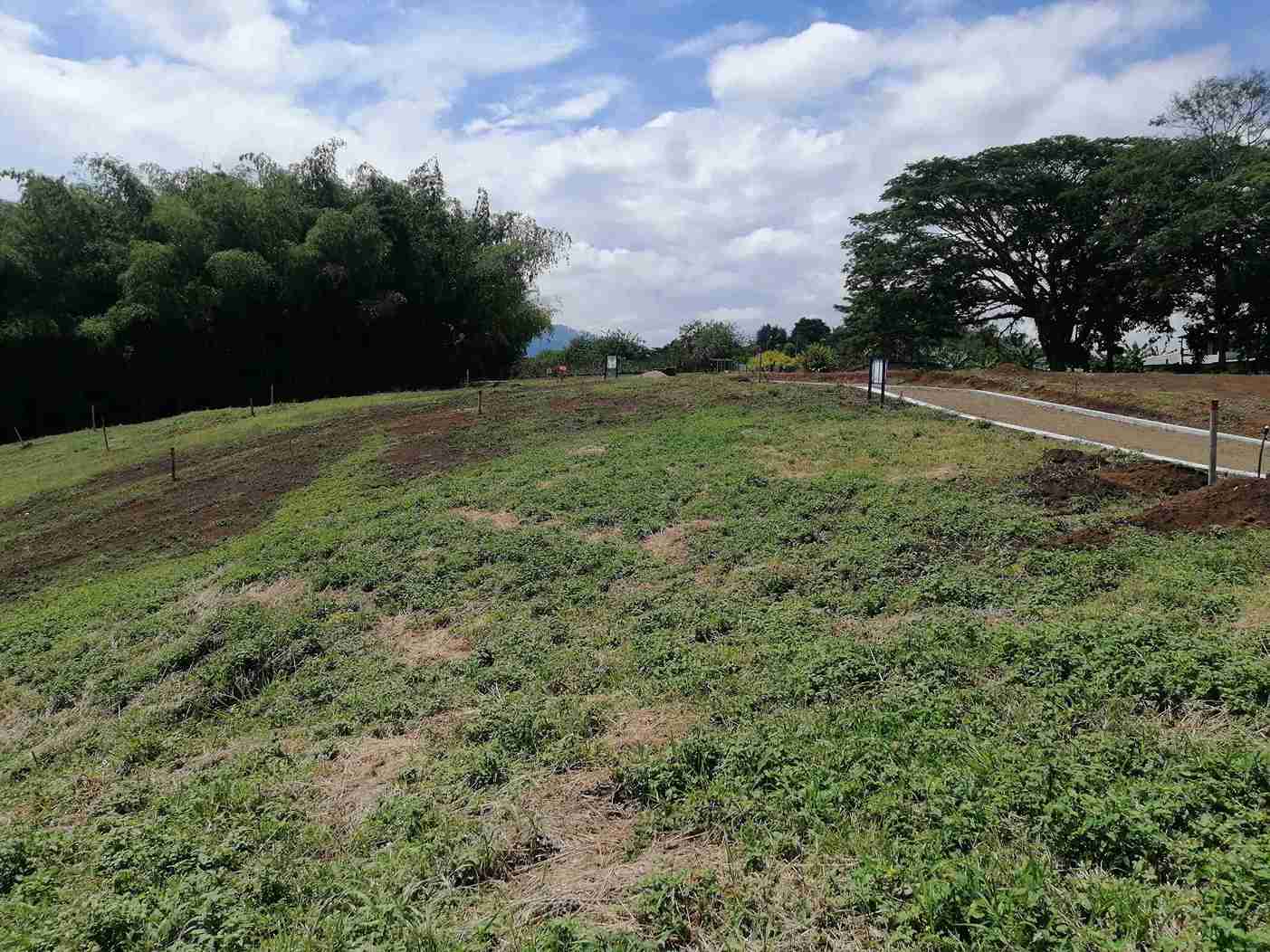 Foto de Lote / terreno en Venta en Combia, Pereira - 5 - 279058096