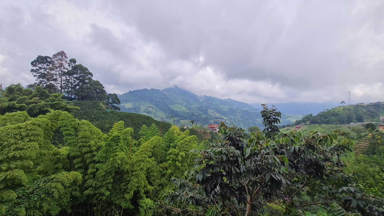 Foto de Local en Venta en Bajo tablazo, Manizales - 13 - 279068920