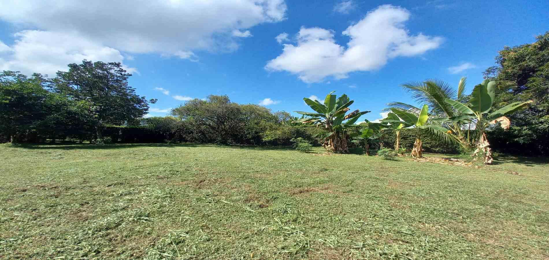 Foto de Lote / terreno en Venta en Vereda santagueda, Palestina - 33 - 279060420