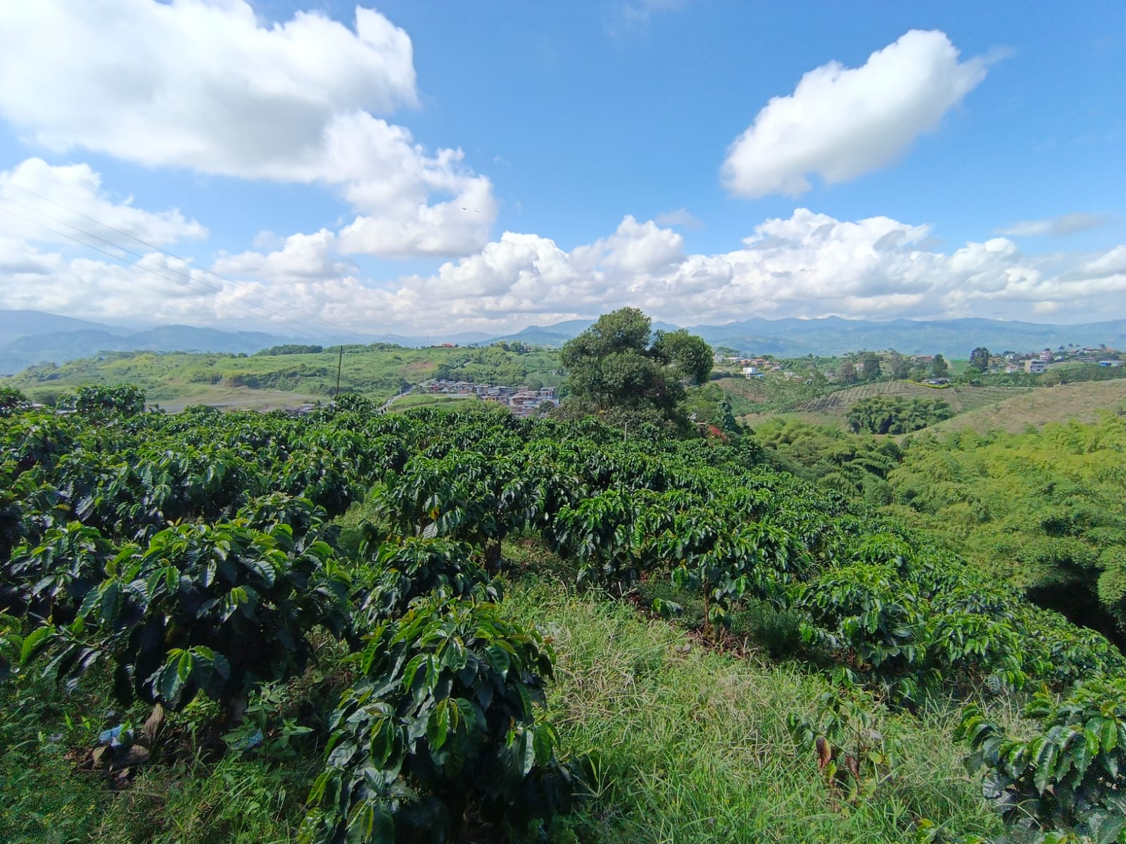 Foto de Lote / terreno en Venta en Las pavas, Manizales - 10 - 279067665