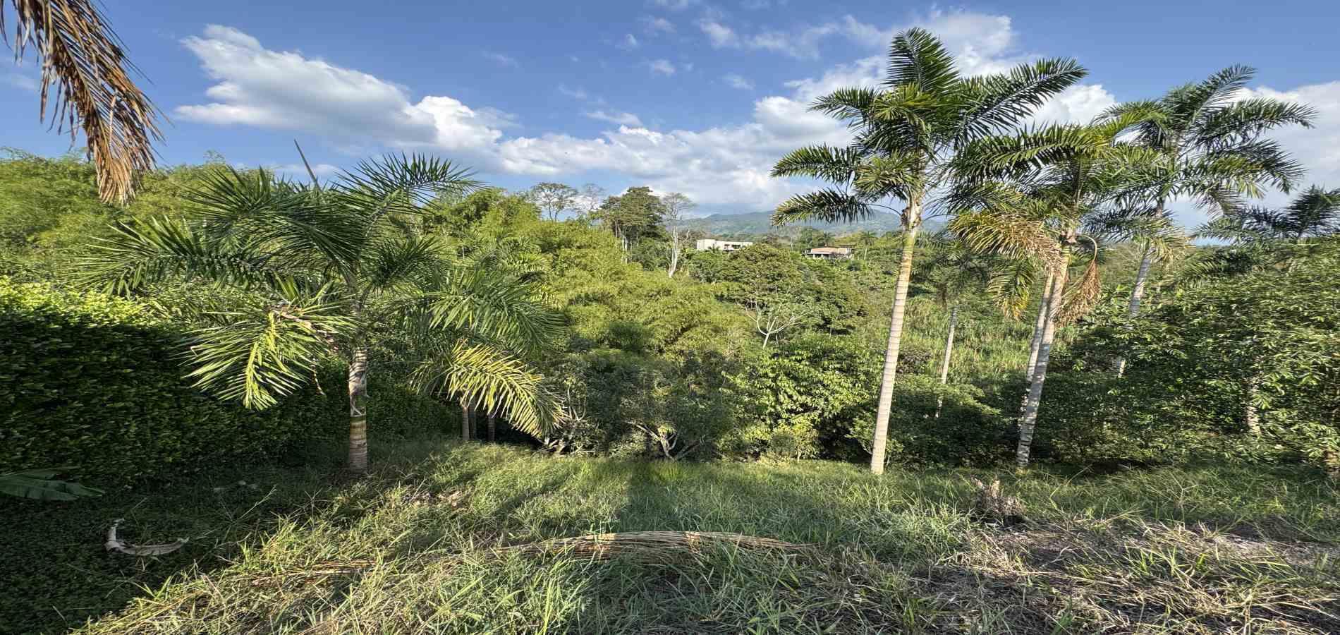 Foto de Lote / terreno en Venta en Combia, Pereira - 4 - 279060485
