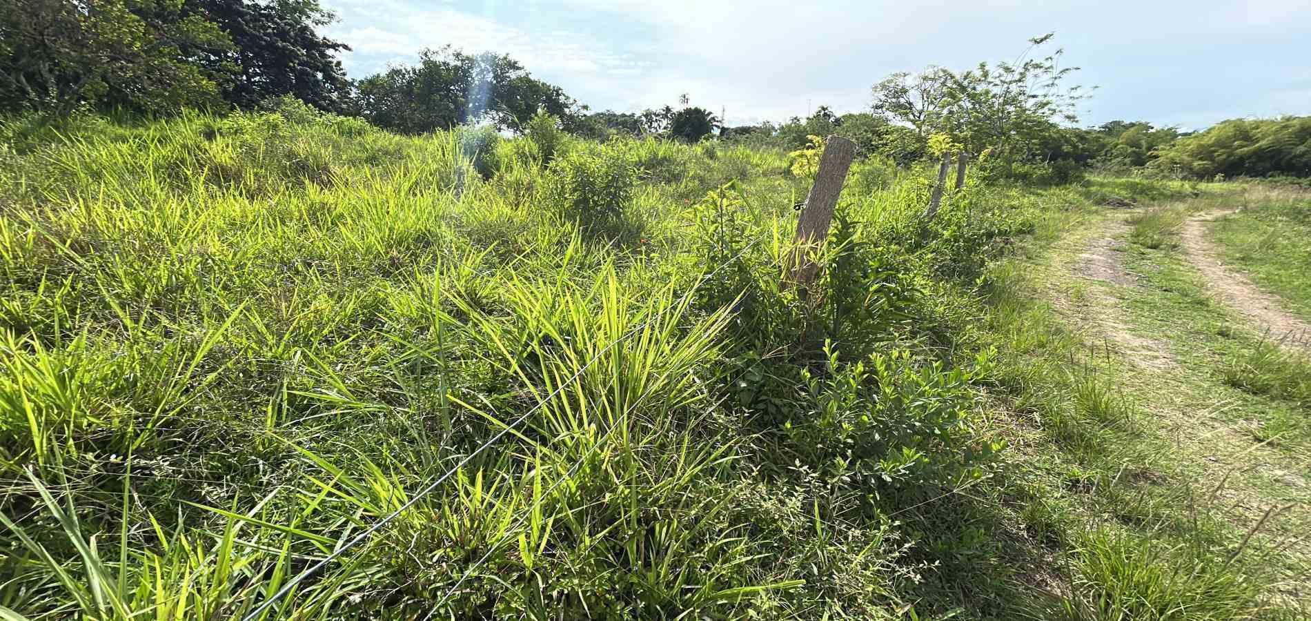 Foto de Lote / terreno en Venta en Cerritos, Pereira - 10 - 279068090