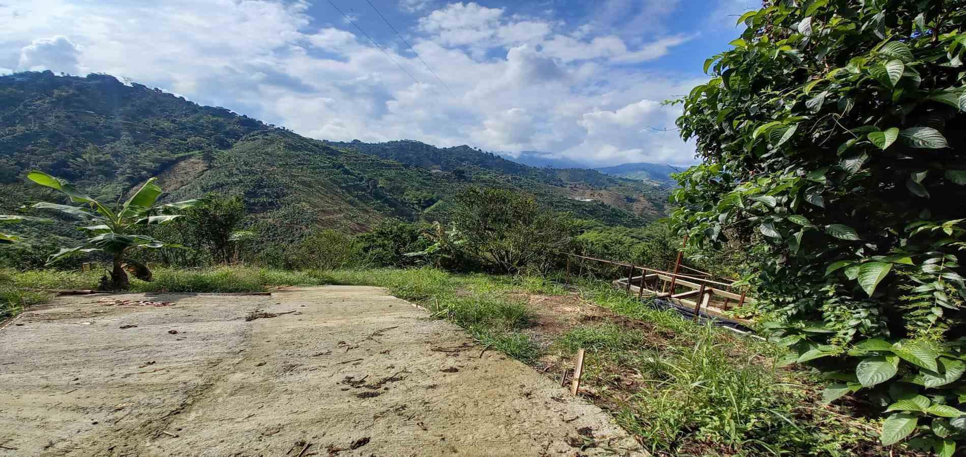 Foto de Finca en Venta en San peregrino, Manizales - 6 - 279061656