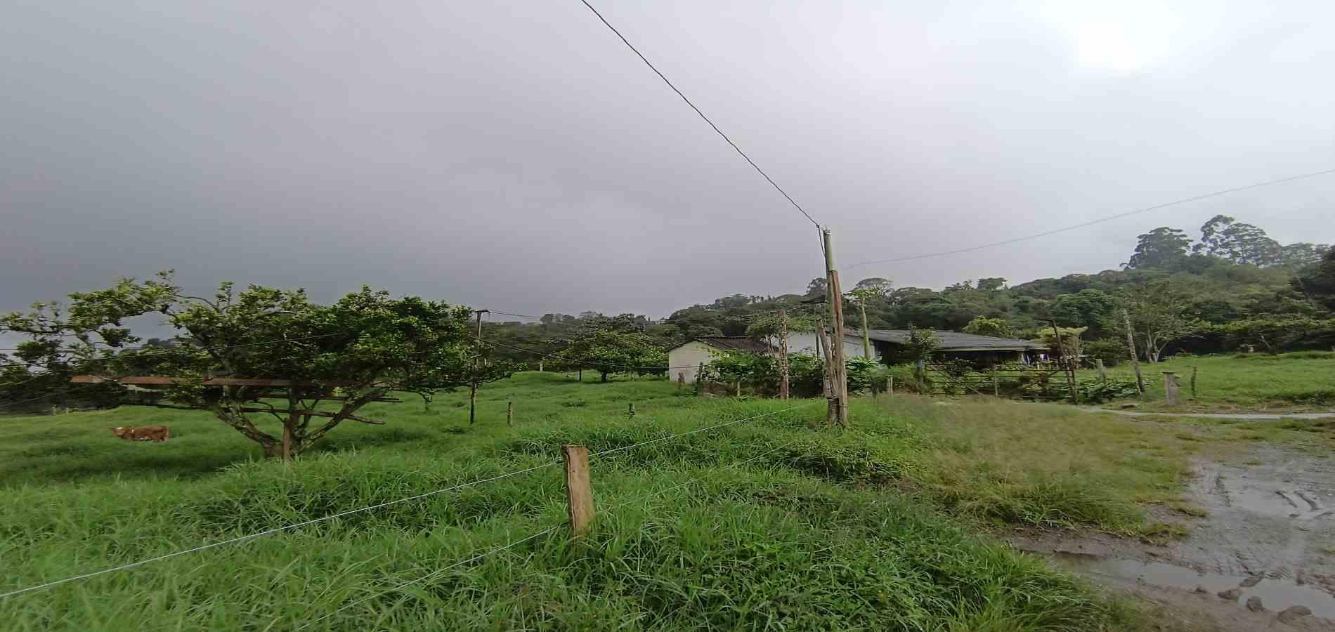 Foto de Finca en Venta en La francia, Manizales - 19 - 279066742