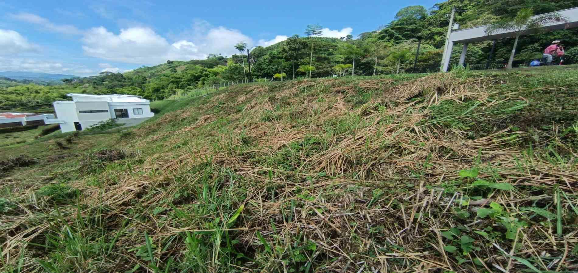 Foto de Lote / terreno en Venta en Autopista del café, Manizales - 23 - 279064930