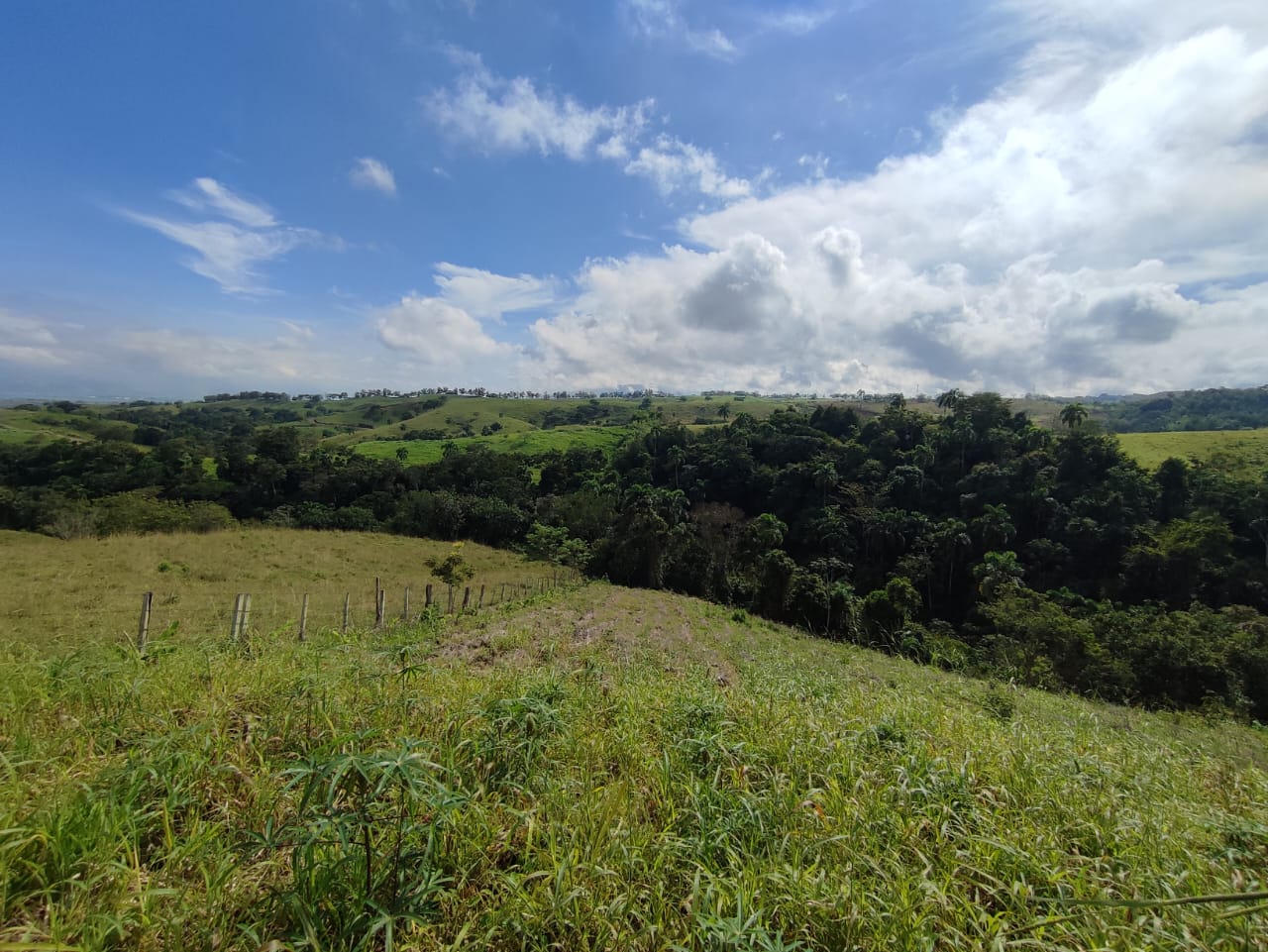 Foto de Lote / terreno en Venta en Centro, Pereira - 11 - 279063218