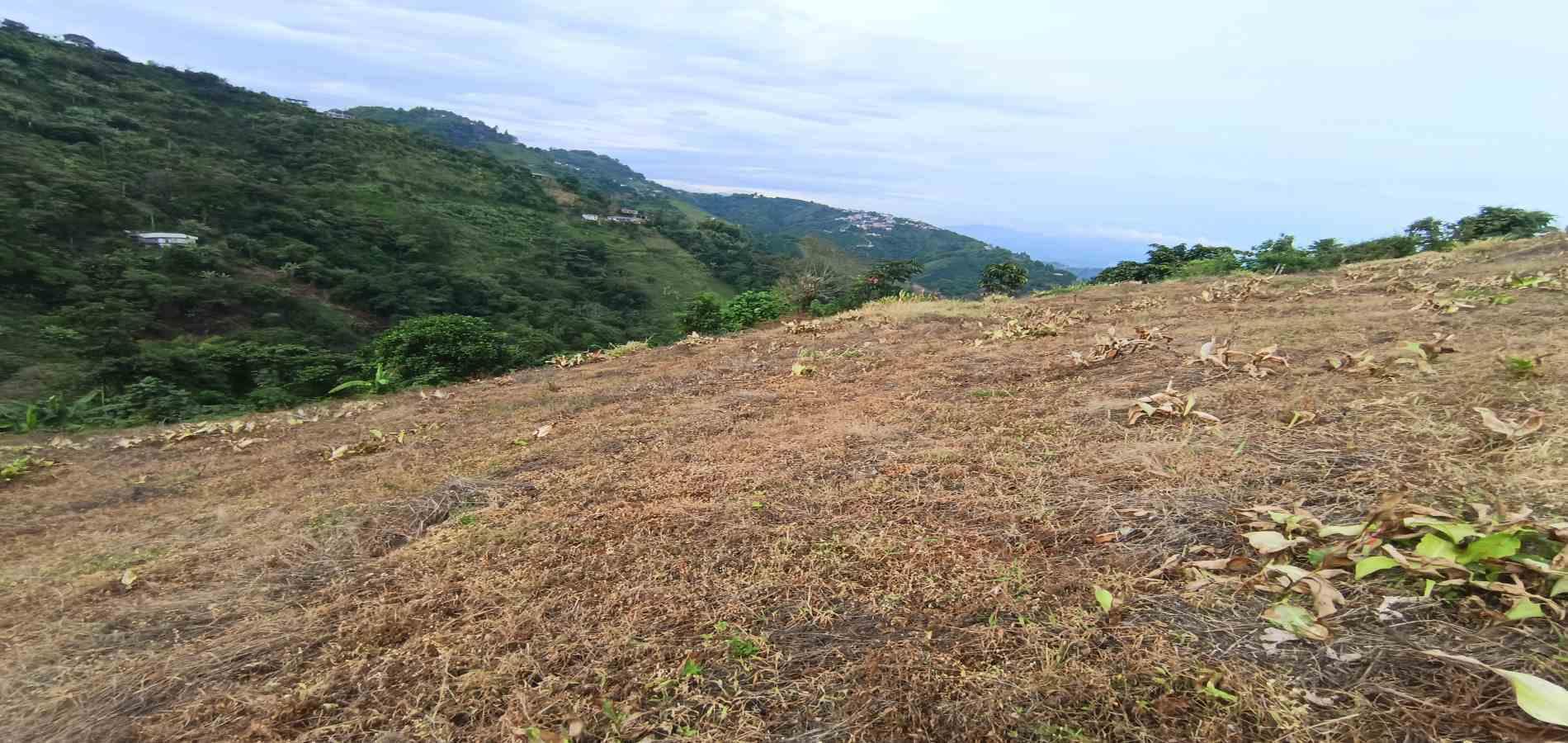 Foto de Lote / terreno en Arriendo en La linda, Manizales - 7 - 279069062