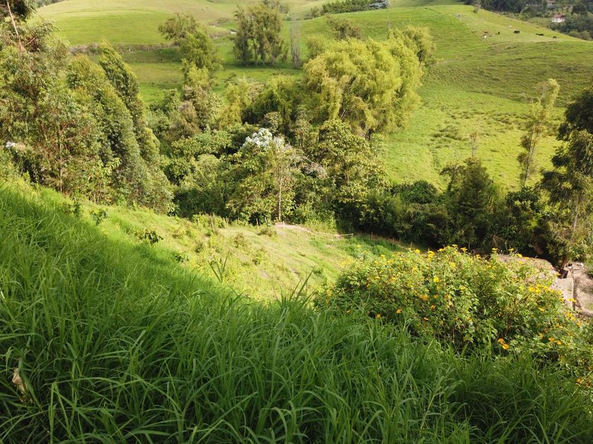 Foto de Lote / terreno en Venta en VillamarÍa, Villamaria - 19 - 279056144