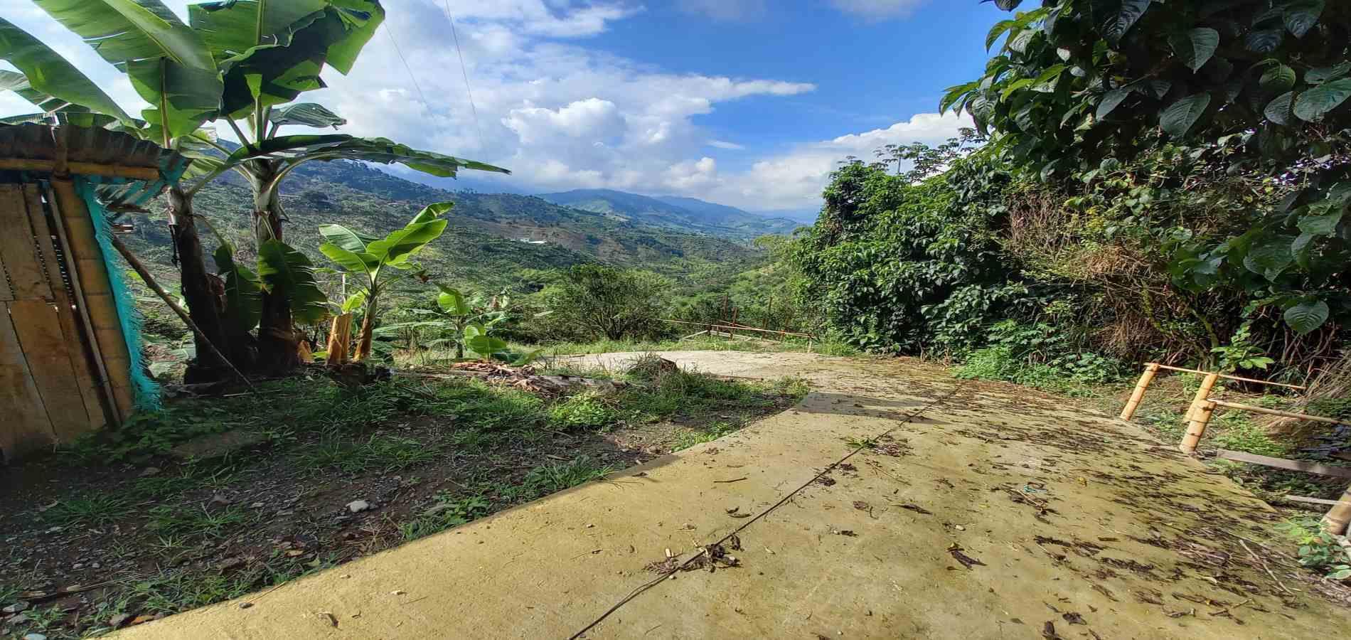 Foto de Finca en Venta en San peregrino, Manizales - 4 - 279061656