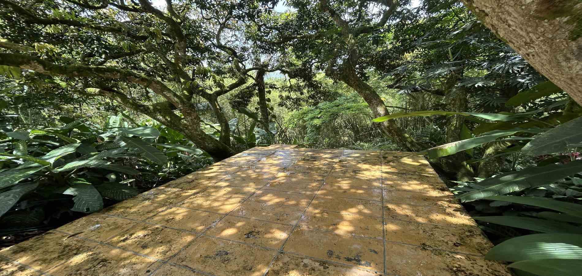 Foto de Casa en Arriendo en Pueblito cafetero, Pereira - 2 - 279067722