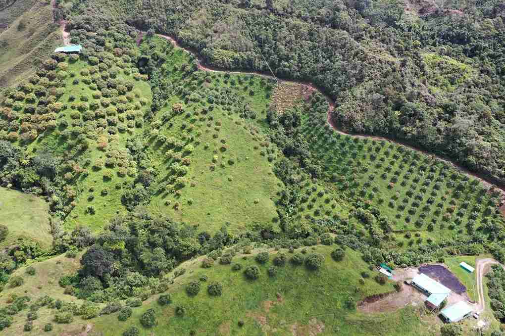 Foto de Finca en Venta en Vereda aguadita, Fresno - 23 - 279054270