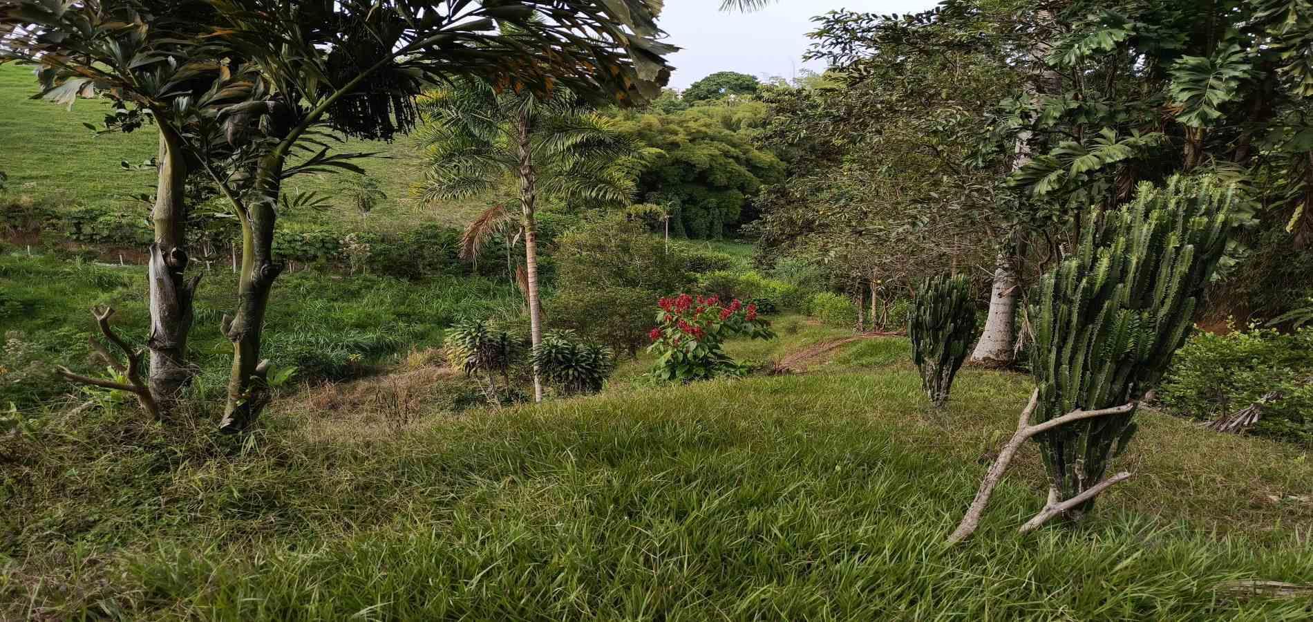 Foto de Lote / terreno en Venta en Via alcala, Pereira - 1 - 279061897