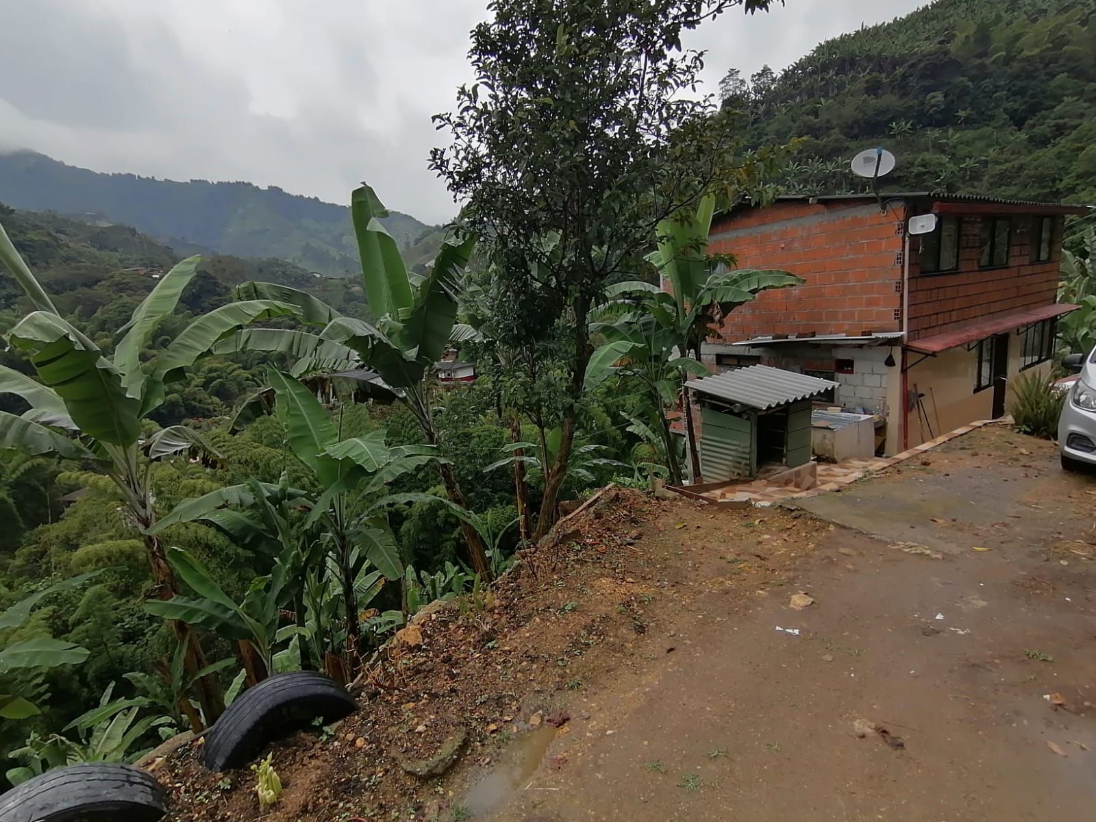 Foto de Finca en Venta en Maracas, Neira - 4 - 279063622