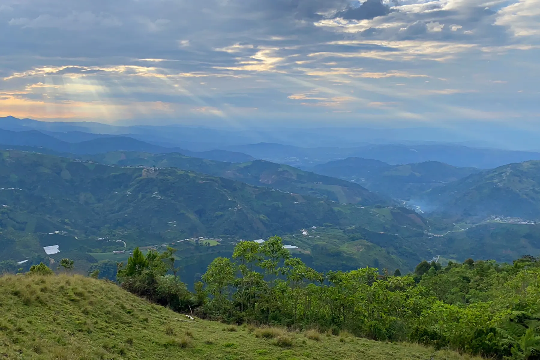 Foto de Finca para Venta en Alto castillo, Villamaria - 279066724