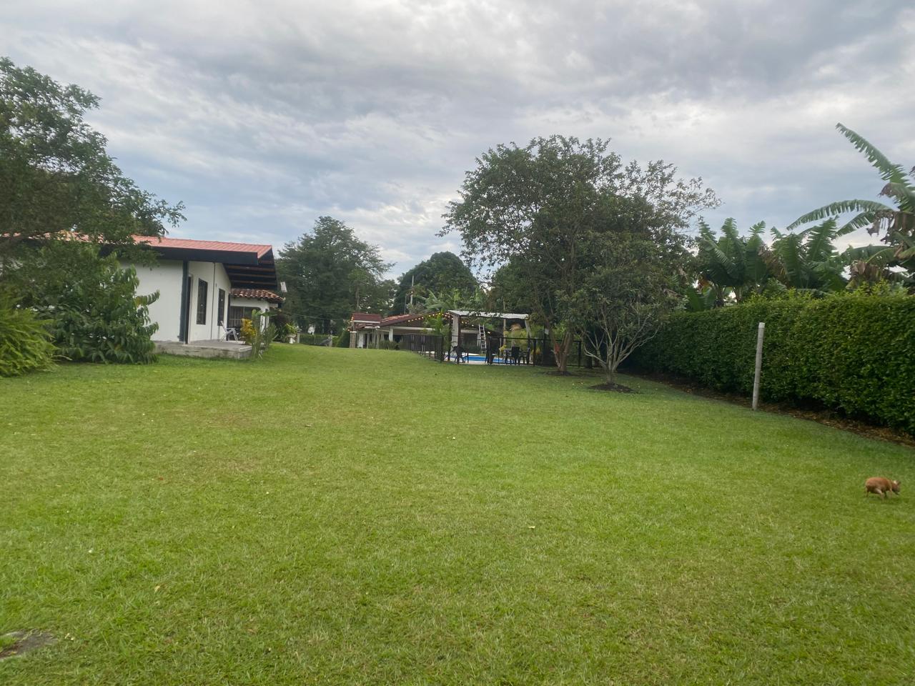 Foto de Finca en Venta en Combia, Pereira - 38 - 279064832