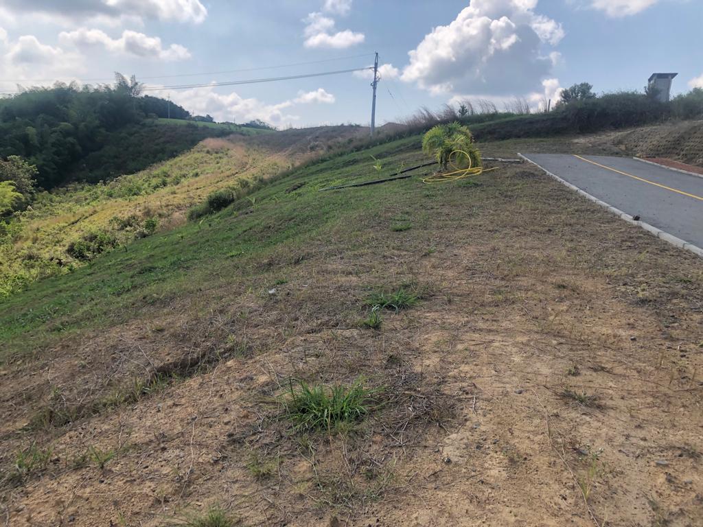 Foto de Lote / terreno en Venta en Cerritos, Pereira - 6 - 2790555100