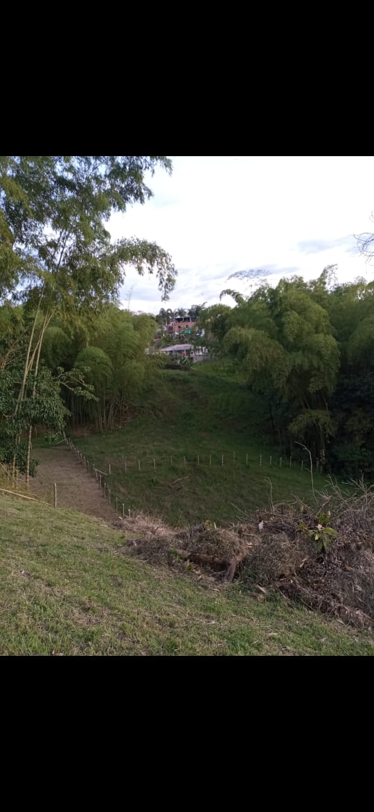 Foto de Lote / terreno en Venta en Vereda yarumal, Pereira - 1 - 279065328
