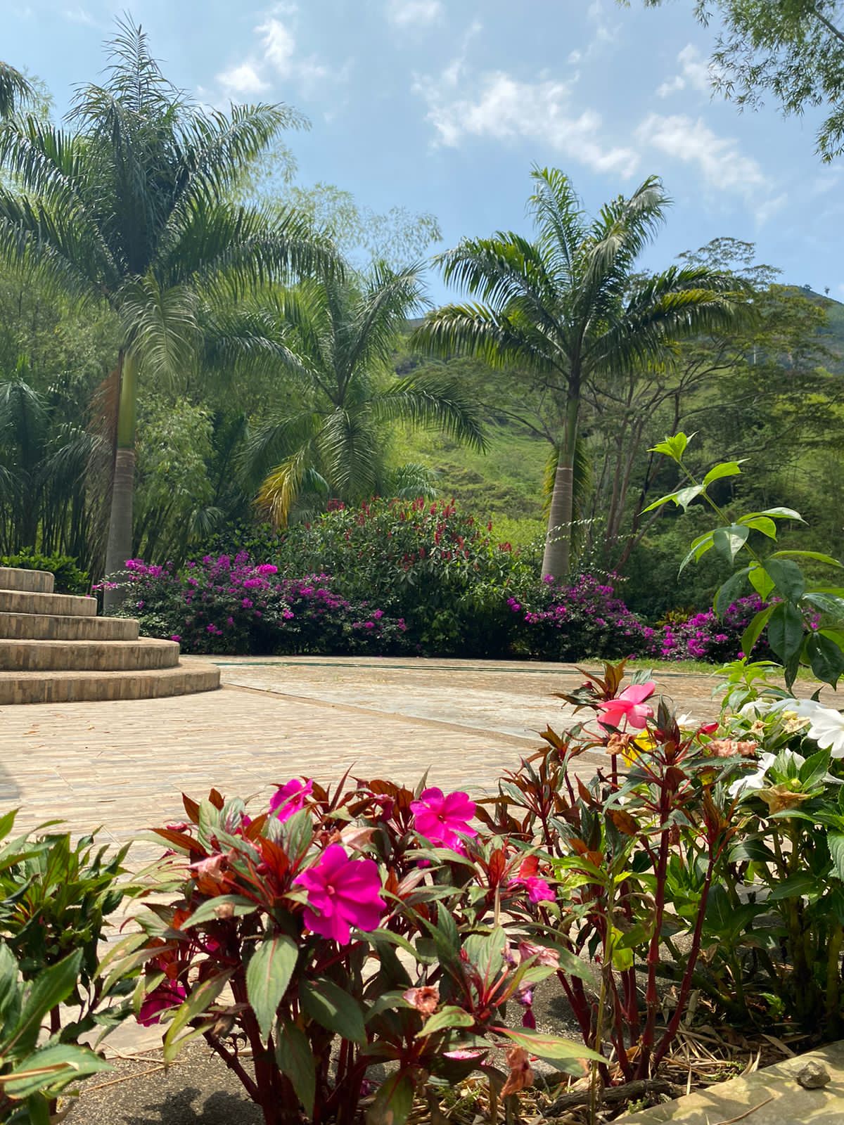 Foto de Finca en Venta en El guineo, Neira - 19 - 279053579