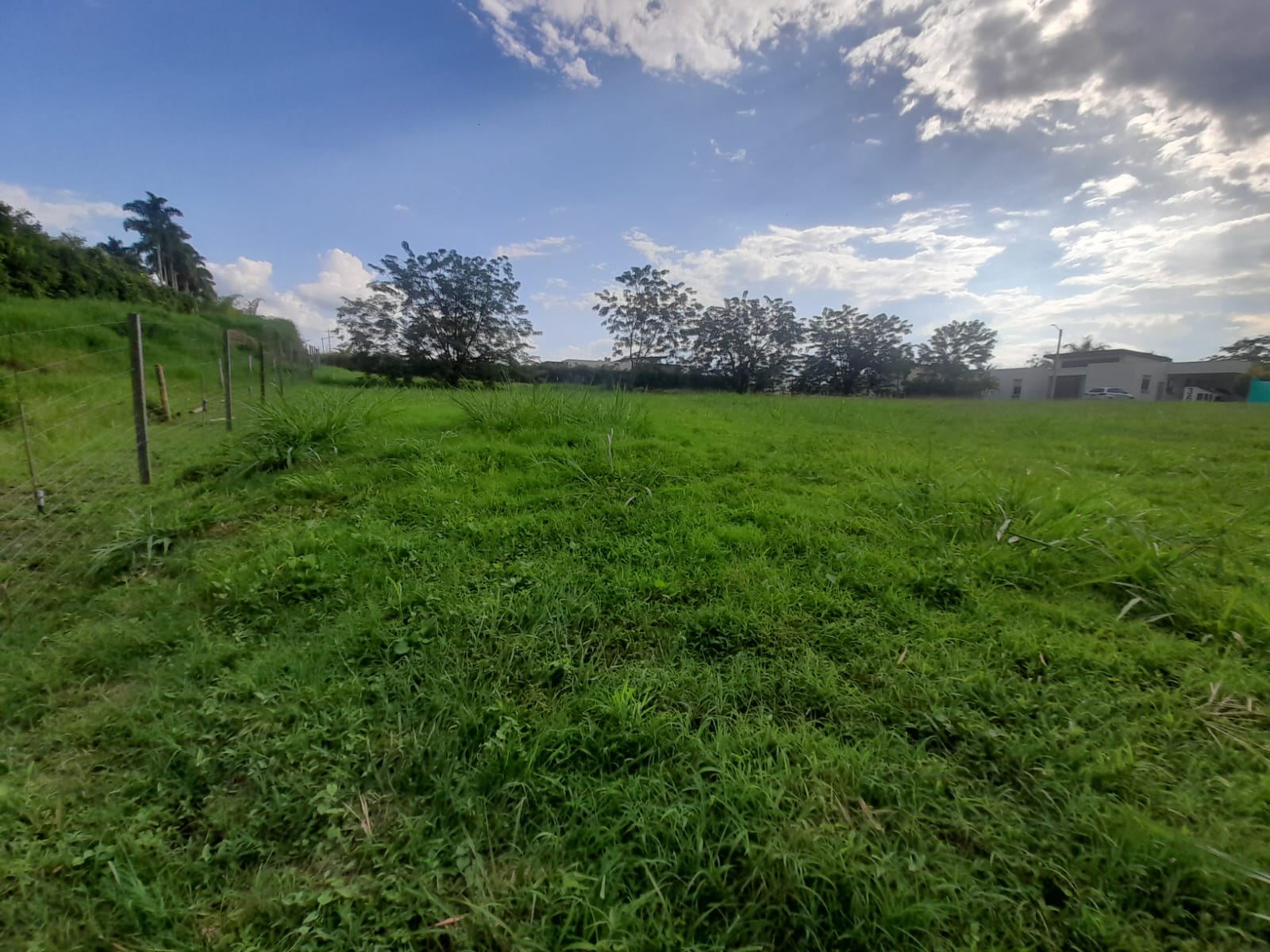 Foto de Lote / terreno en Venta en La floresta, Pereira - 3 - 279065198