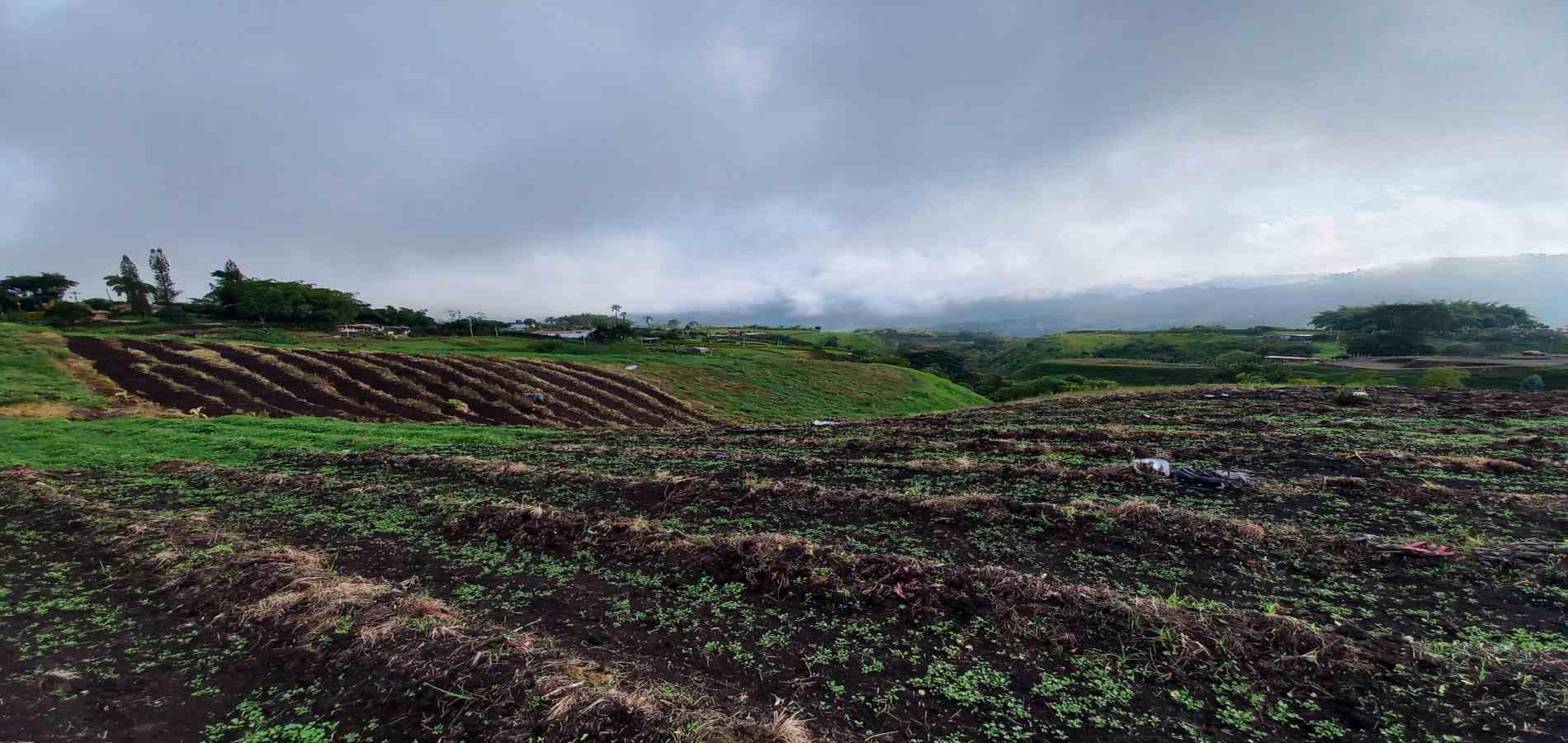 Foto de Lote / terreno en Venta en Vereda el lembo, Santa rosa de cabal - 5 - 279066290