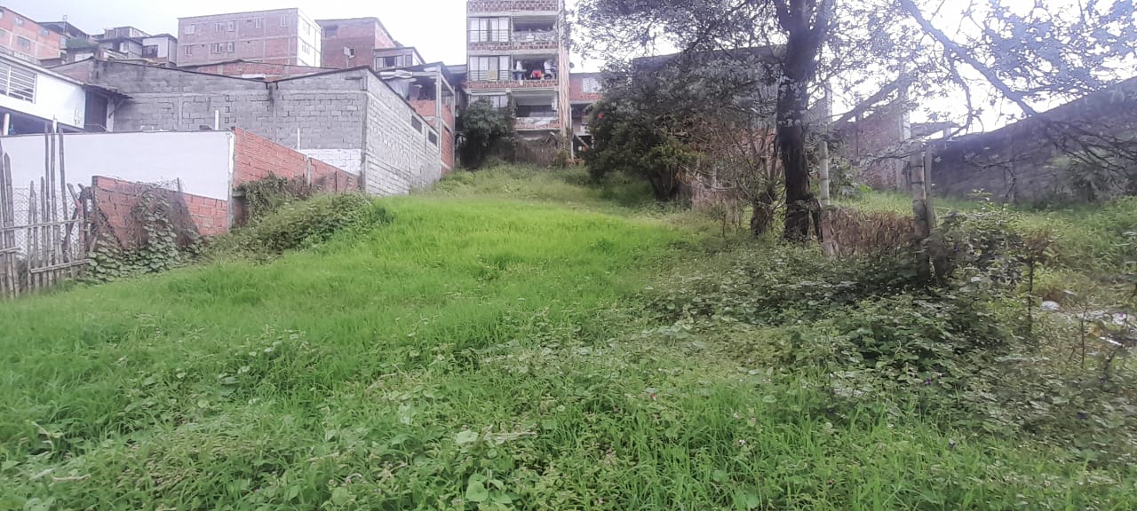 Foto de Lote / terreno en Venta en Urapanes, Villamaria - 27 - 53078