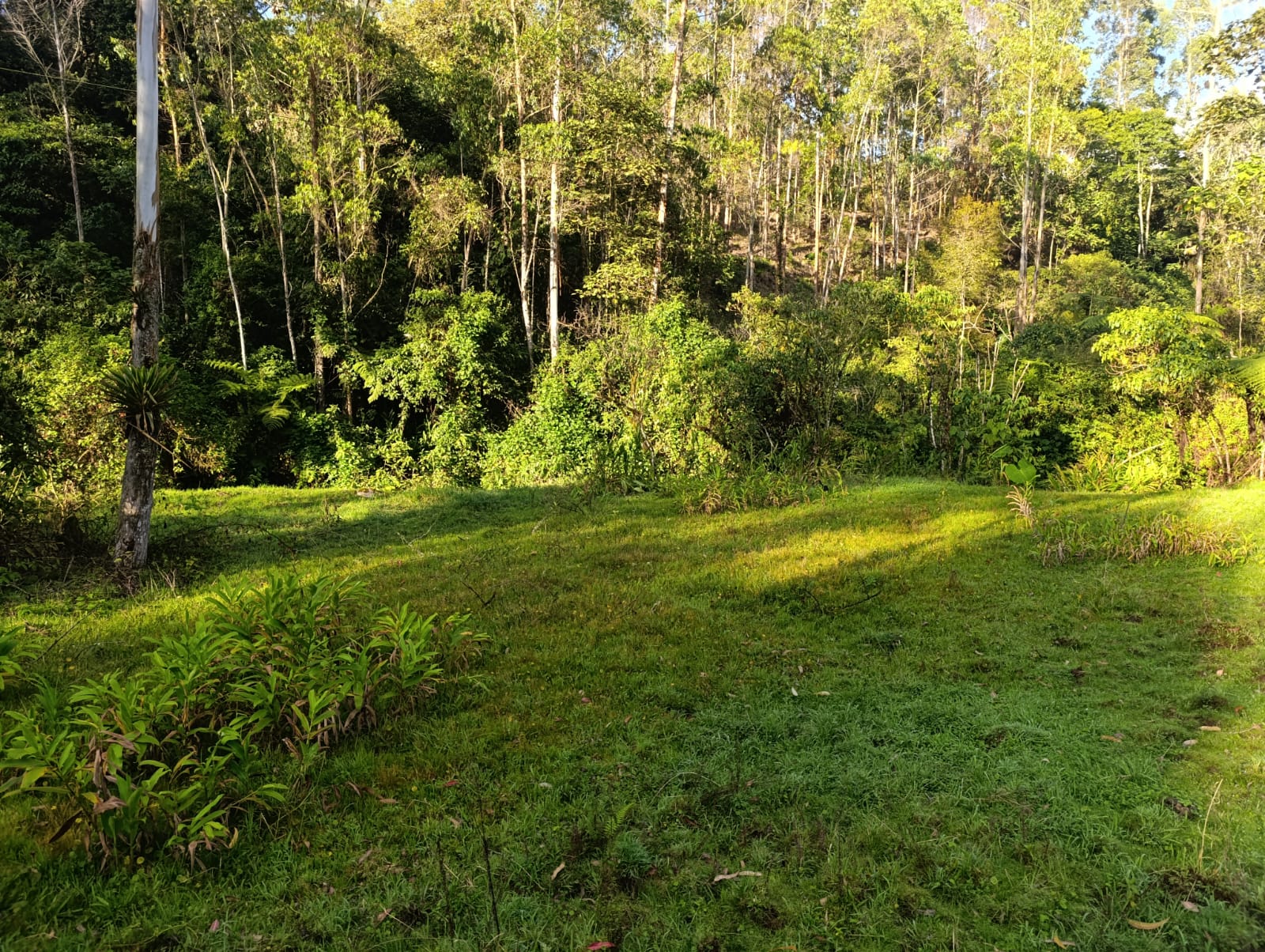 Foto de Lote / terreno en Venta en Santa rosa de cabal, Santa rosa de cabal - 10 - 279064480