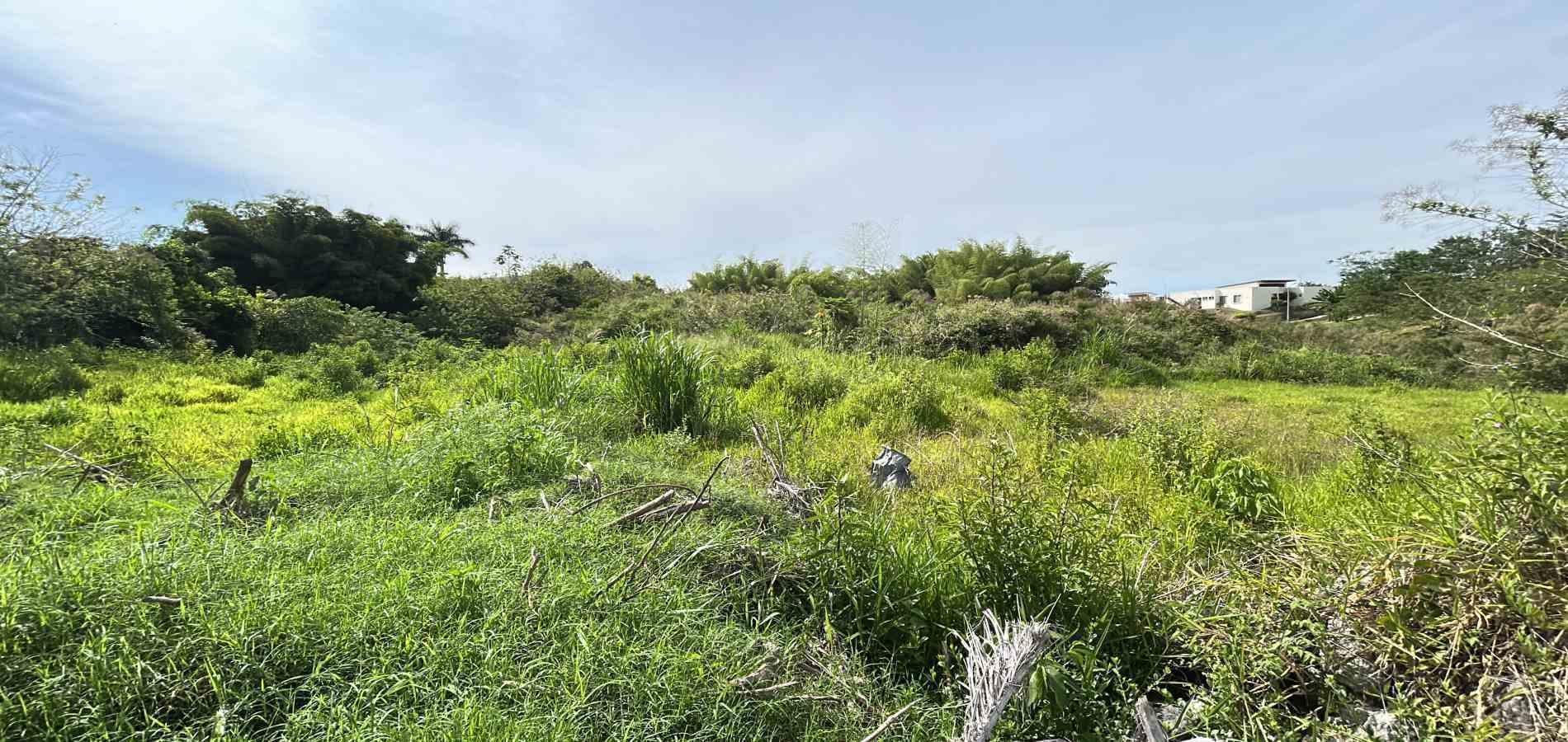 Foto de Lote / terreno en Venta en Cerritos, Pereira - 1 - 279068089