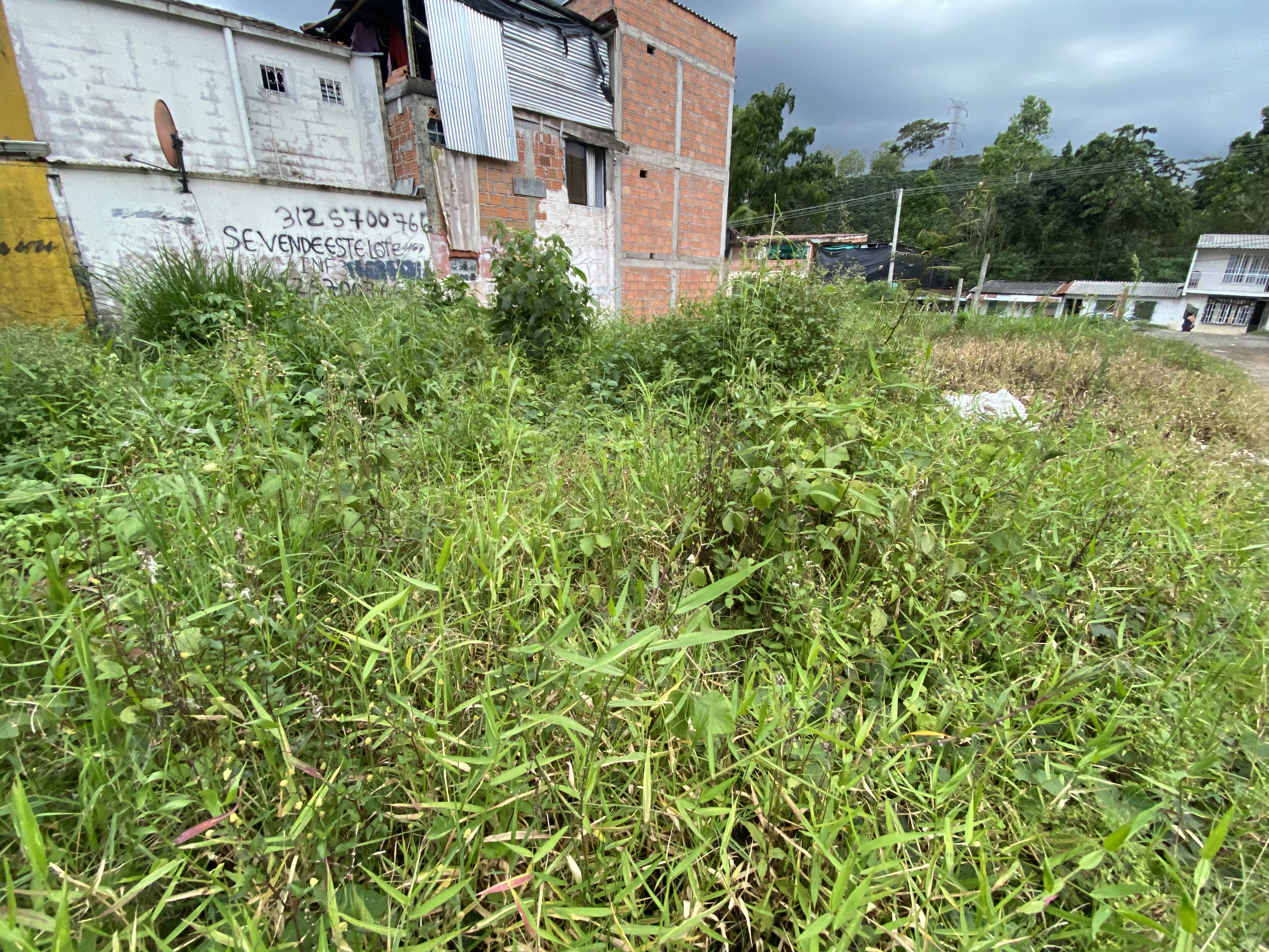Foto de Lote / terreno en Venta en Colinas del bosque, Dosquebradas - 3 - 279066259