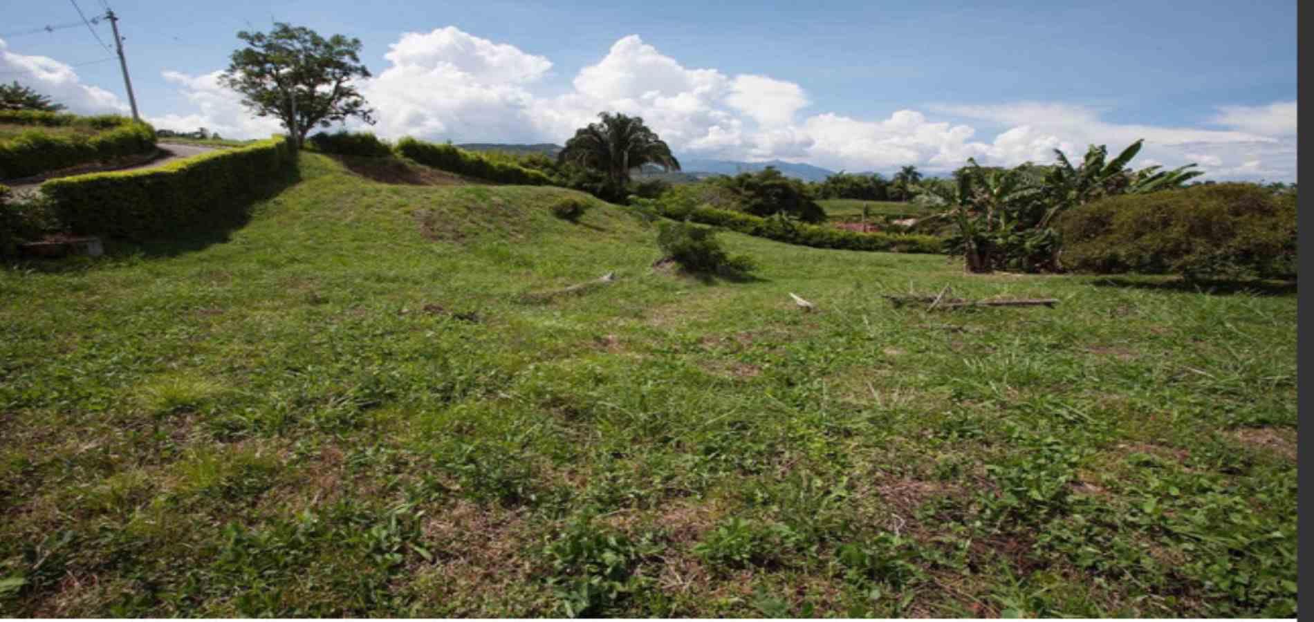 Foto de Lote / terreno en Venta en Vereda santagueda, Palestina - 7 - 279053622