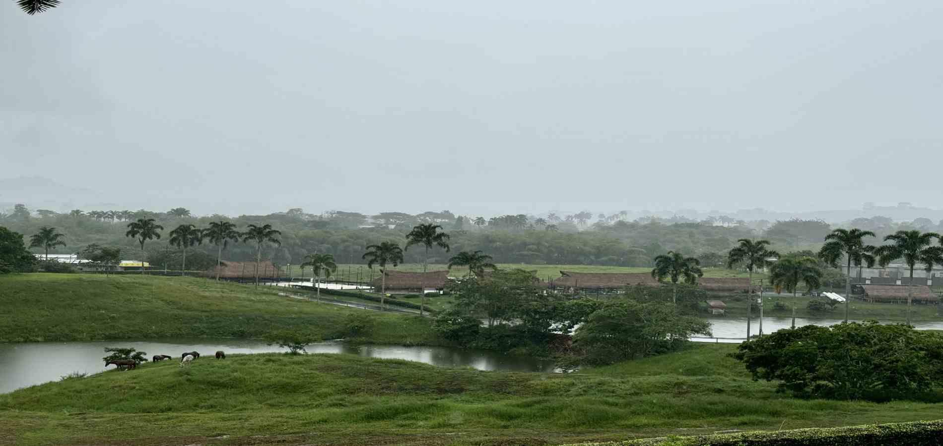 Foto de Lote / terreno en Venta en Cerritos, Pereira - 5 - 279059921