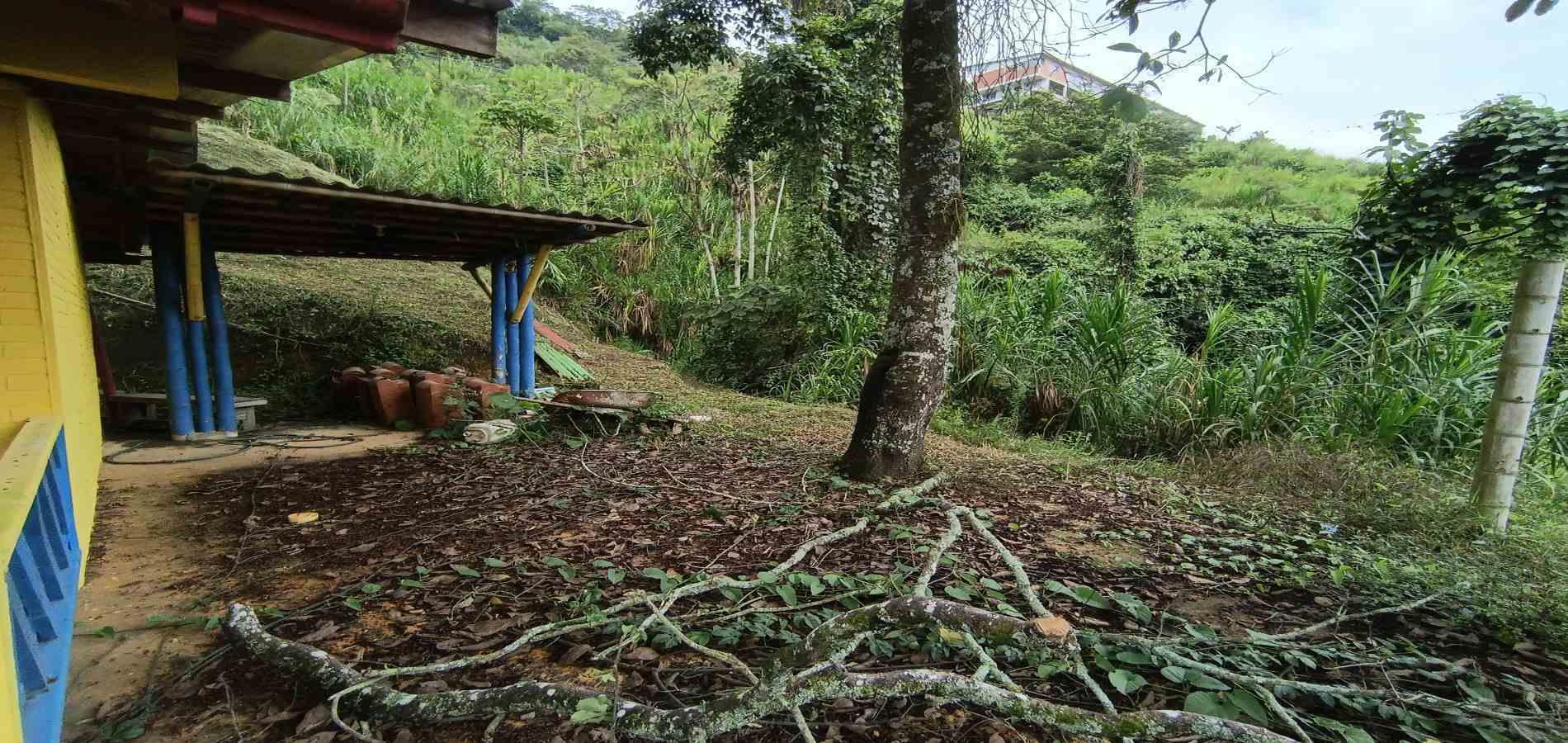Foto de Lote / terreno en Venta en Vereda la trinidad, Manizales - 8 - 279066610