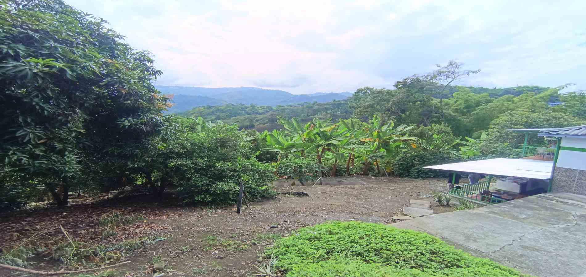 Foto de Casa en Venta en San peregrino, Manizales - 8 - 279070004