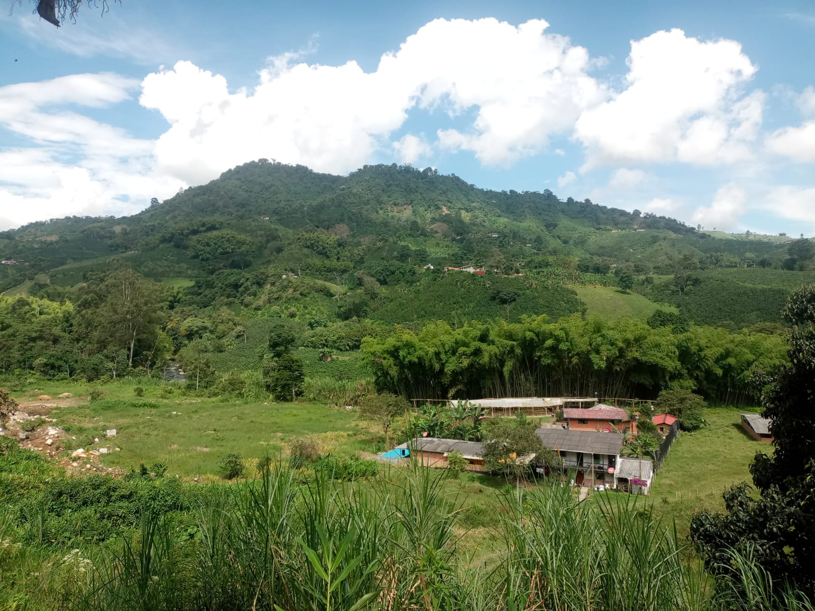 Foto de Finca en Venta en Centro, Santa rosa de cabal - 4 - 279052730