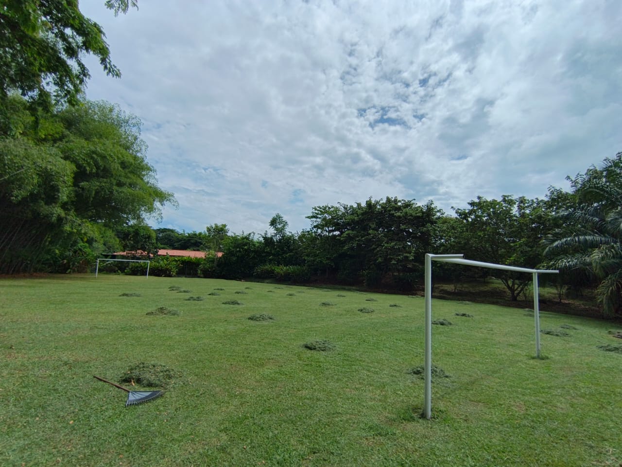 Foto de Lote / terreno en Venta en Condominio campestre reserva del campo, Manizales - 2 - 279064110