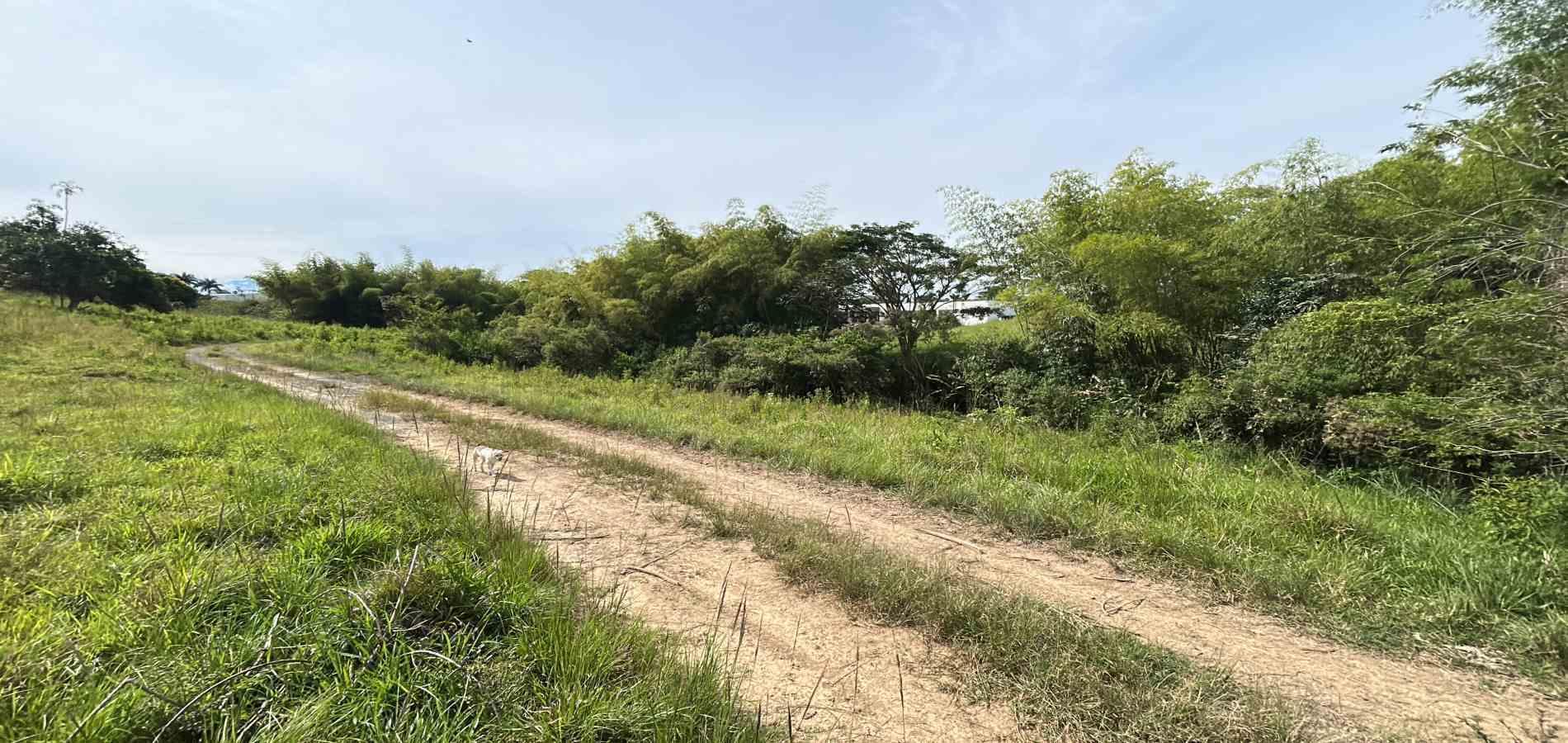 Foto de Lote / terreno en Venta en Cerritos, Pereira - 5 - 279068066