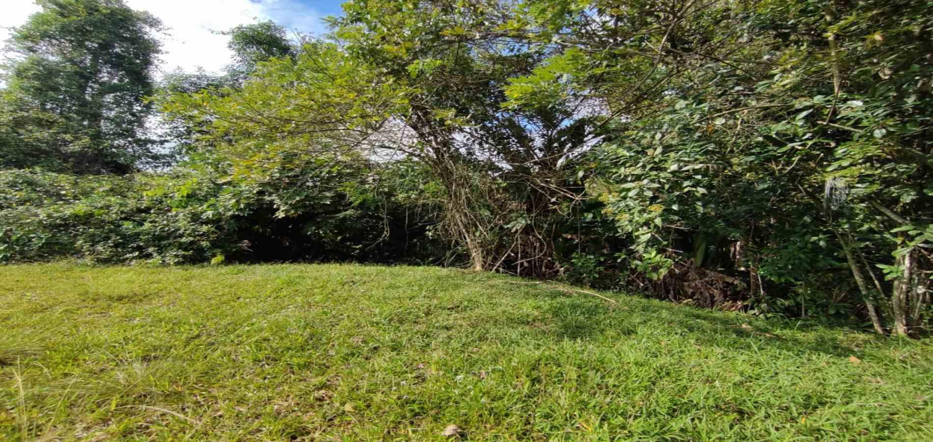 Foto de Lote / terreno en Venta en Centro, Pereira - 4 - 279063216