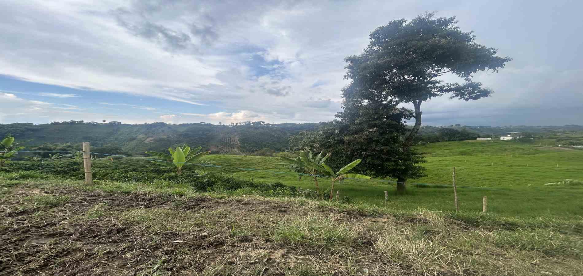 Foto de Finca en Venta en Vereda el placer, Pereira - 3 - 279066578