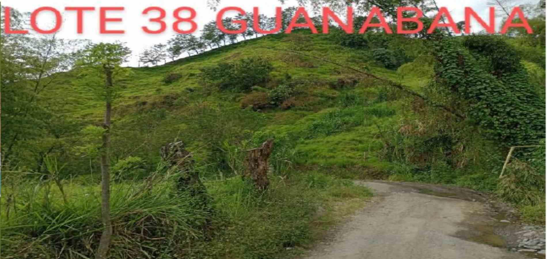 Foto de Lote / terreno en Venta en Vereda armenia , Neira - 17 - 279026013