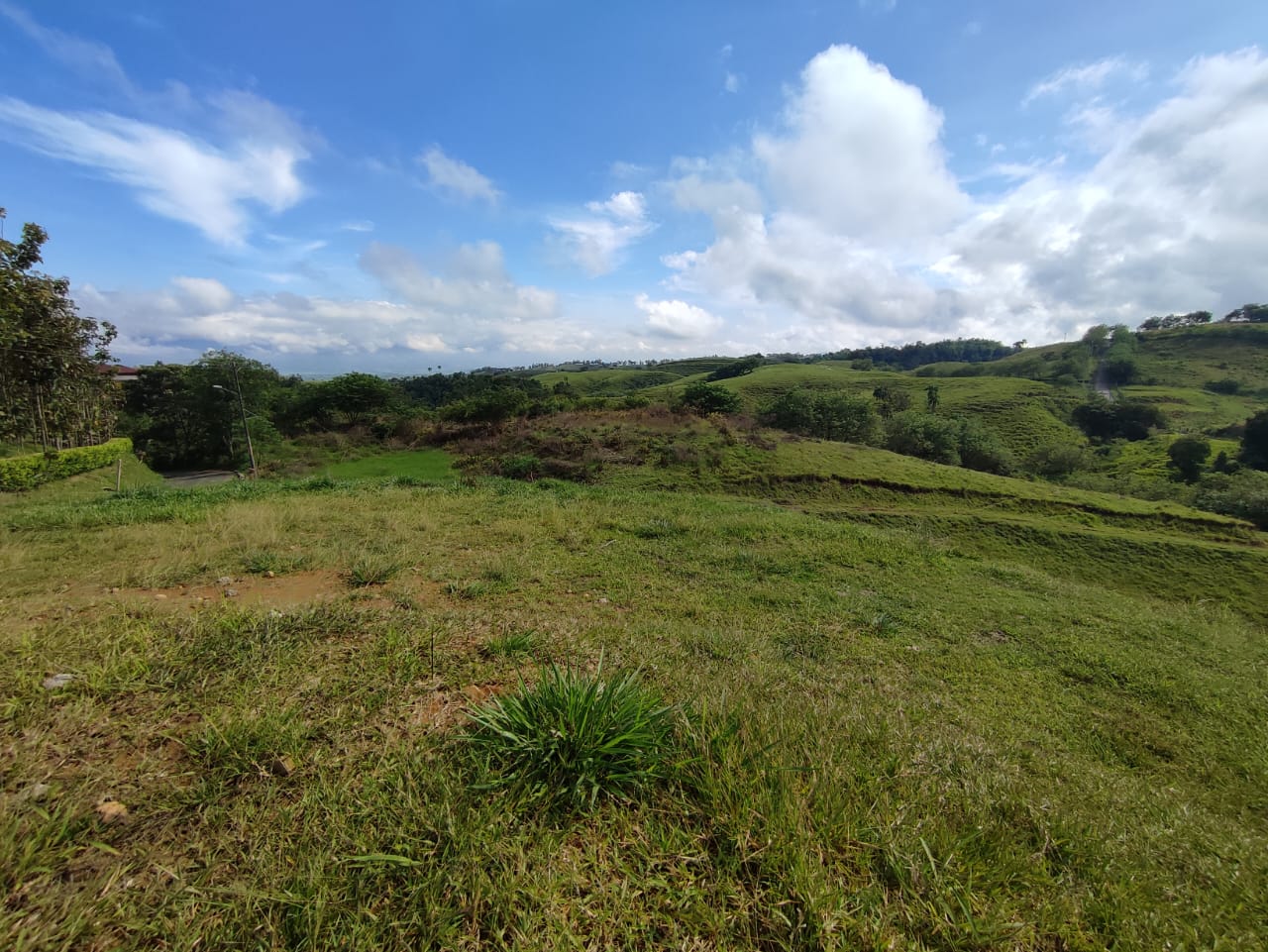 Foto de Lote / terreno para Venta en Cerritos, Pereira - 279063217