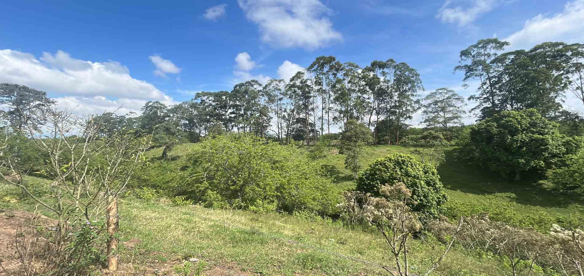 Foto de Lote / terreno en Venta en Via alcala, Pereira - 7 - 279066756
