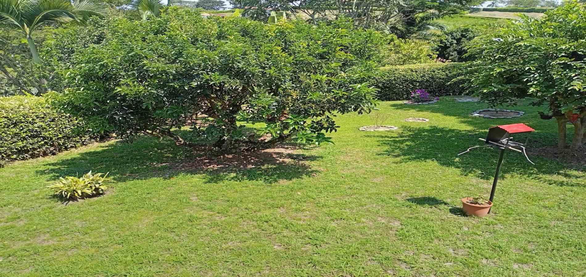 Foto de Casa campestre en Venta en Vereda palermo, Neira - 17 - 279068973