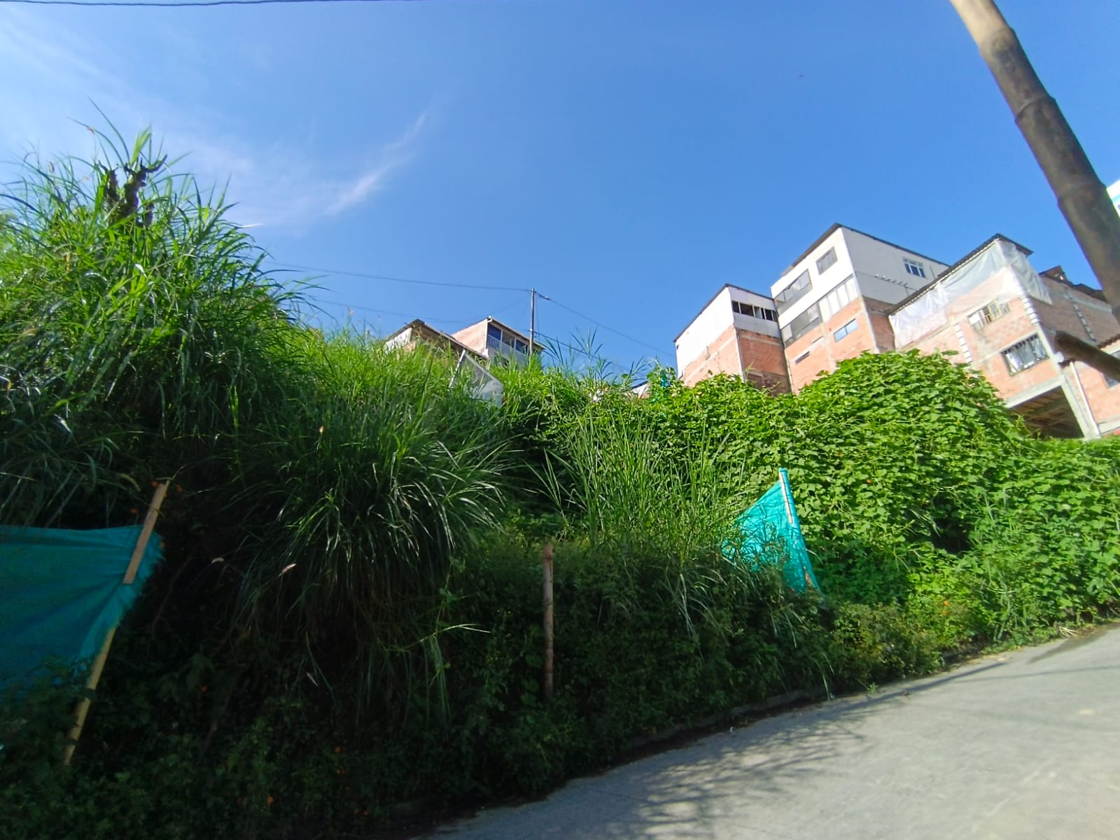 Foto de Lote / terreno en Venta en Bellavista, Villamaria - 5 - 279067096