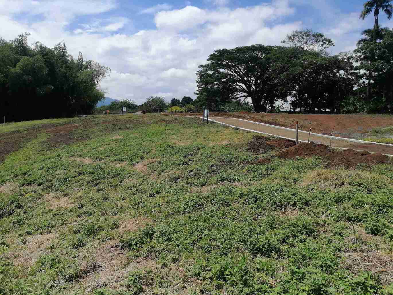Foto de Lote / terreno en Venta en Combia, Pereira - 4 - 279058096