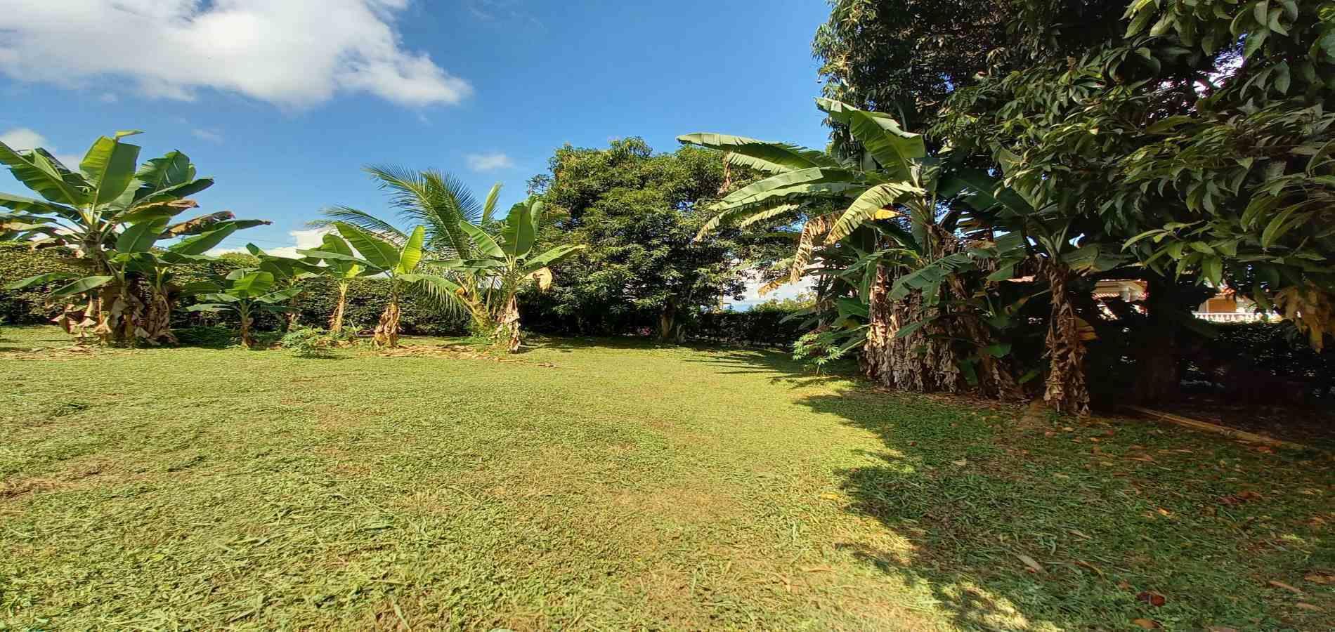 Foto de Lote / terreno en Venta en Vereda santagueda, Palestina - 34 - 279060420