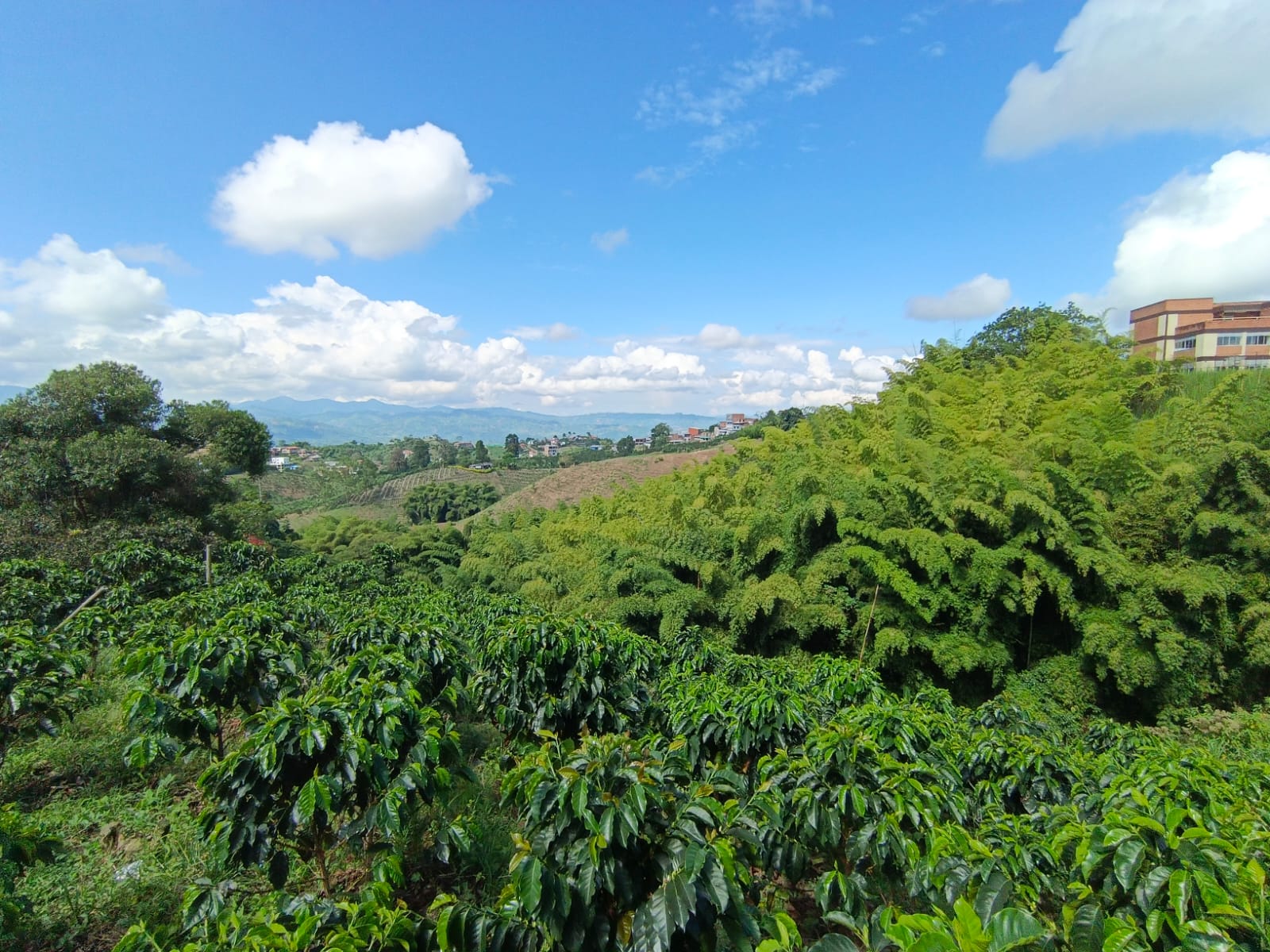 Foto de Lote / terreno en Venta en Las pavas, Manizales - 11 - 279067665