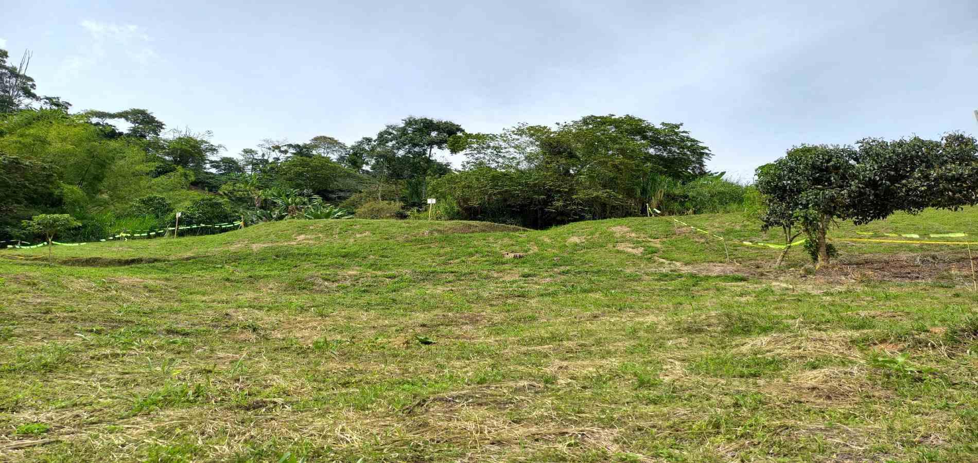 Foto de Lote / terreno en Venta en Combia, Pereira - 15 - 279069589