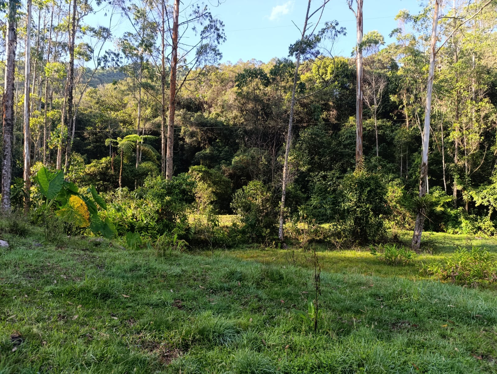 Foto de Lote / terreno en Venta en Santa rosa de cabal, Santa rosa de cabal - 8 - 279064480